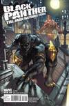 Black Panther: The Man Without Fear comic books